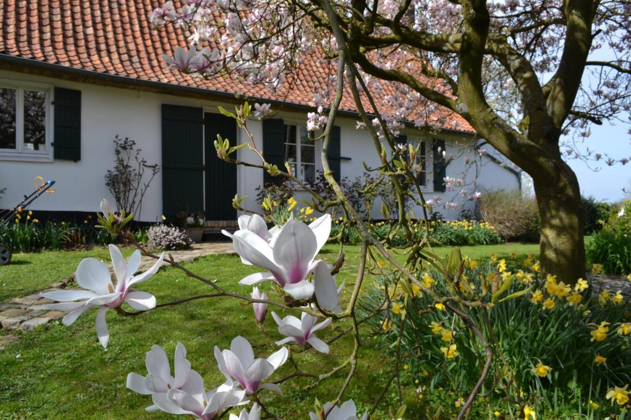 La Longere D'Ecottes Bed & Breakfast Licques Luaran gambar